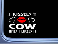 Cow Kissed L939 8" cattle farming window decal sticker