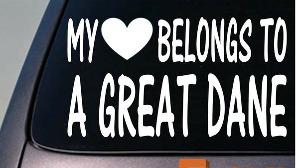My heart belongs to a Great Dane sticker decal *D985*