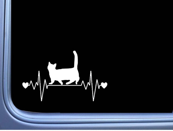 Munchkin Cat Lifeline M354 8 inch Sticker Decal kitten litterbox catnip