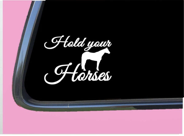 Hold Your Horses TP 604 Sticker 6" Decal horse cowboy funny saddle stirrup
