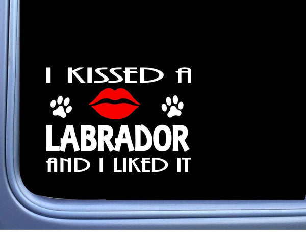 Labrador kissed L862 8" dog window decal sticker