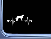 Dutch Shepherd Lifeline M320 8 inch Sticker Decal schutzhund dog k9 dutchie