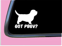 Got PBGV TP 571 vinyl 6" Decal Sticker dog breed Petit Basset Griffon Vendeen