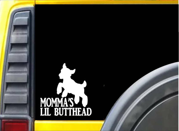 Momma's Little Butthead k572 Sticker 6 inch goat decal