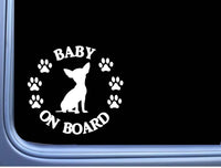 Baby on Board Chihuahua L519 6" Sticker dog decal