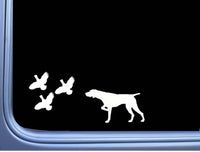 German Shorthair Pointer 3 Quail L447 8 inch shorthaired dog decal