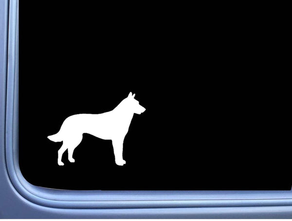 Dutch Shepherd plain M316 6 inch Sticker Decal schutzhund dog k9 dutchie