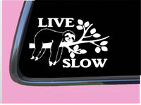 Live Slow Sloth TP 654 Sticker 8" Decal animals gifts stuffed tshirt