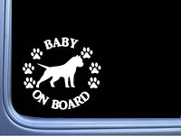 Baby on Board American Bully Cropped L473 6" pitbull Sticker decal