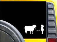 Girl Showing Sheep Sticker k631 8 inch dog decal