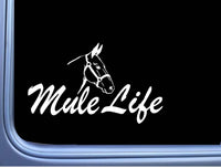 Mule life sticker farm donkey horse mule pull draft mule decal country fence fun