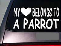 Parrot My heart belongs Sticker *G546* 8" Vinyl african grey food birdcage macaw