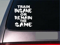 Train Insane sticker gym weightlifting fat burner window laptop 6" *E208*