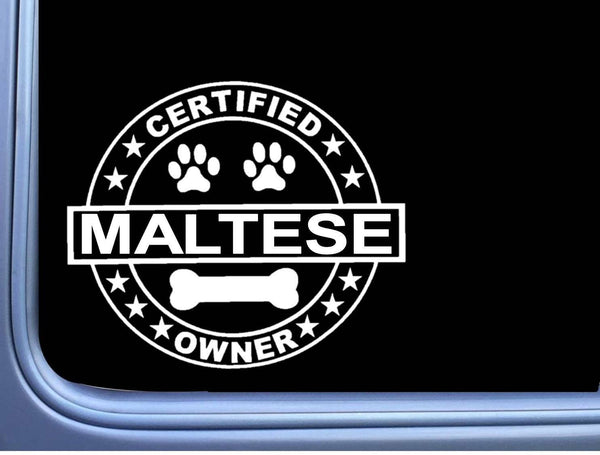 Certified Maltese L333 Dog Sticker 6" decal