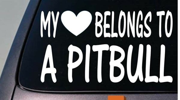 My heart belongs to a Pit Bull Pitbull sticker decal *D936*