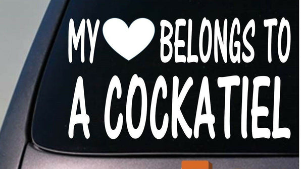 My heart belongs to a Cockatiel sticker decal *D945*