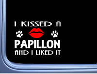 Papillon Kissed L879 8" dog window decal sticker