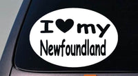 I LOVE MY NEWFOUNDLAND DOG WATER SWIM 6" STICKER CAR TRUCK WINDOW STICKER DECAL