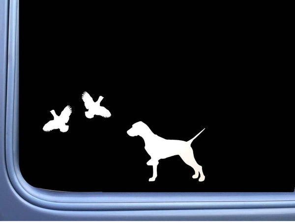 English Pointer 2 Quail L450 8 inch shorthaired dog decal