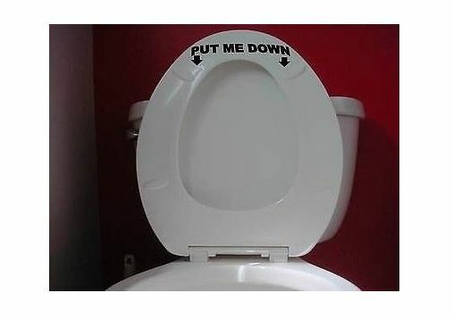 Put Me Down Toilet Seat Vinyl Decal – 7 Inch
