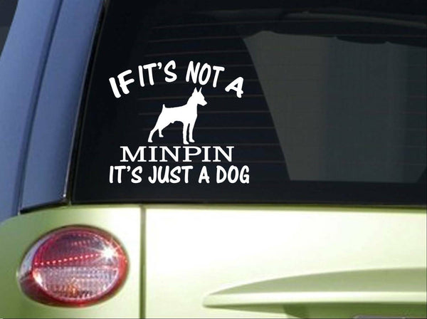 If it's Not a Minpin *I735* 6x6 inch Sticker dog decal miniature pinscher
