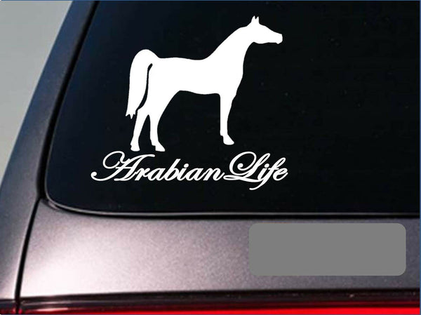 Arabian Life *E242* sticker decal horse saddle stirrup boots barn stock yard