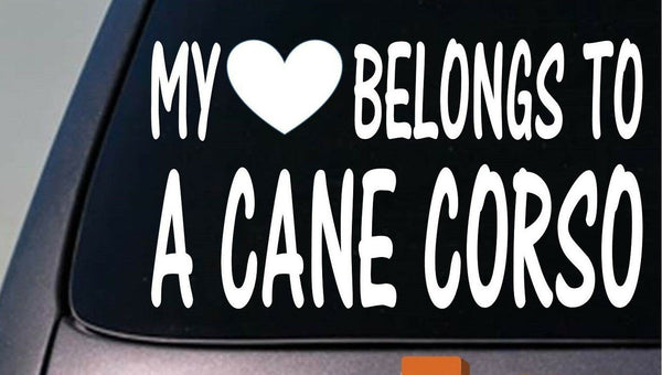 My heart belongs to a Cane Corso sticker decal *D913*