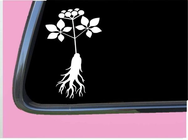 Ginseng TP 673 6 Inch decal sticker seeds extract book growing extract capsules