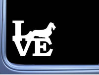 Wirehaired  Dachshund Love J813 6 inch Sticker dachshund dog decal