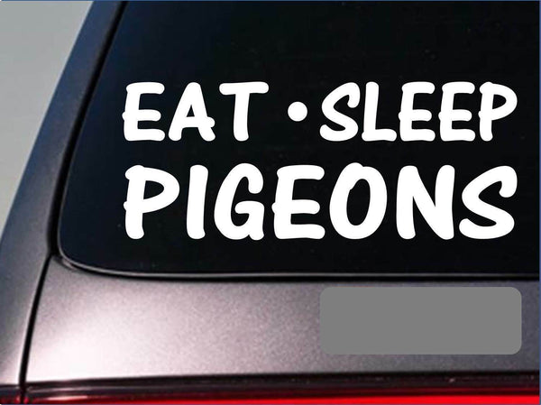 Eat Sleep Pigeons Sticker *G967* 8" vinyl rollers tumbler homing racing fancy
