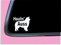 Haulin Auss TP 621 Sticker 6" Decal australian shepherd aussie dog show herding