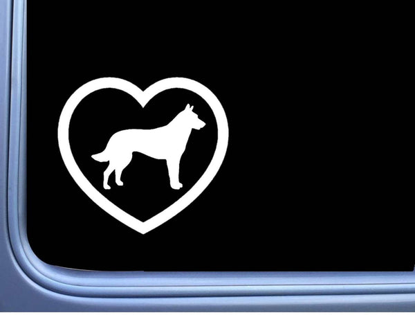 Dutch Shepherd Big Heart M317 6 inch Sticker Decal schutzhund dog k9 dutchie