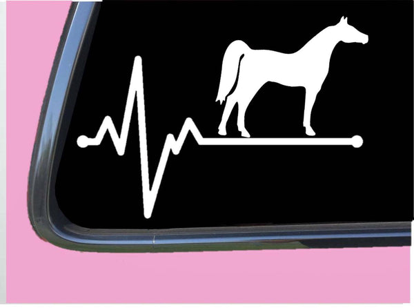 Arabian Horse Lifeline TP 260 vinyl 8" Decal Sticker shoe bridle egyptian tshirt