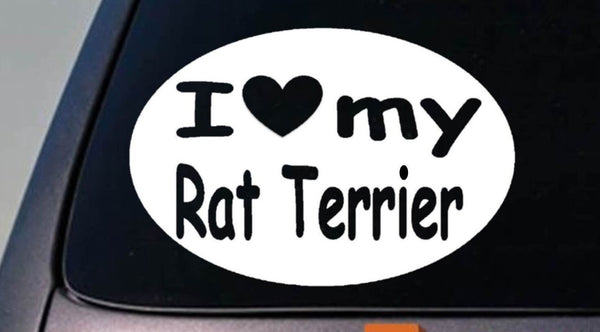 Rat Terrier Decker Terrier Decal Sticker Car Window
