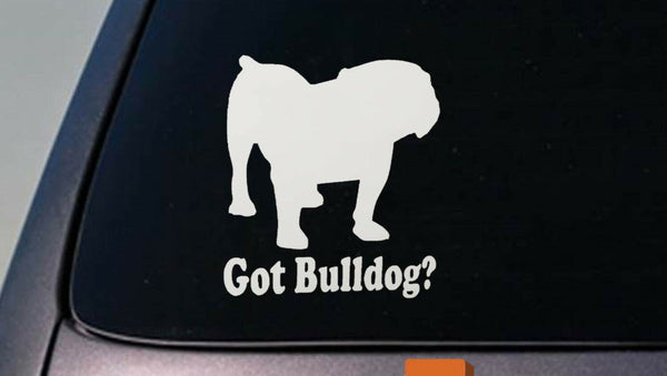 Bulldog 6" Sticker decal vinyl english bulldog bully sourmug bull  olde *D637*