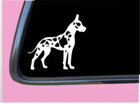 Harlequin Great Dane cropped TP 551 vinyl 6" Decal Sticker dog breed