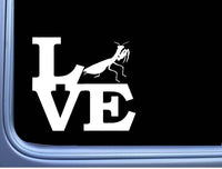 Praying Mantis Love L462 6" Sticker decal insect