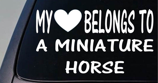 My heart belongs to a Miniature Horse sticker decal *D955*