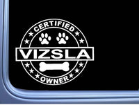 Certified Vizsla L359 Dog Sticker 6" decal