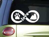 Shih Tzu Infinity sticker *H396* 4 x 8.5  inch vinyl dog love decal