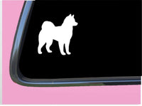 Klee Kai TP 566 vinyl 6" Decal Sticker dog breed alaskan husky kennel tshirt toy