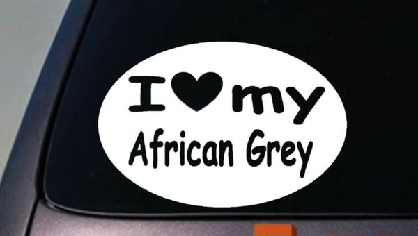 i love my AFRICAN GREY parrot  STICKER bird macaw WINDOW STICKER DECAL Cage Wing