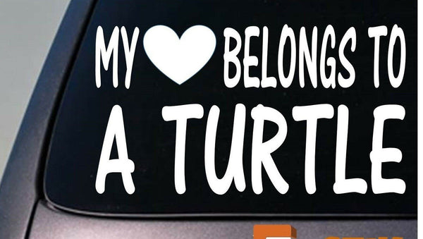 My heart belongs to a Turtle sticker decal *D939*