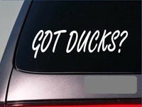 Got Ducks 6" sticker duck hunting *E385* duckblind duck call camo duck hunting