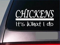 Chickens sticker decal *E342* eggs incubator chicken rooster hatch basket shells