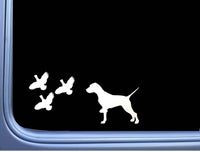 English Pointer 3 Quail L449 8 inch dog decal