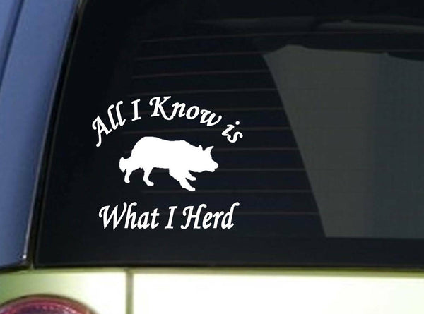 All I know Border Collie Sitcker *I926* 6 inch decal