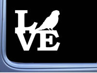 Parakeet Love sticker L460 6 inch bird parrot decal