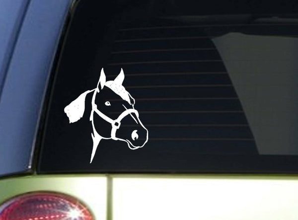 Quarter Horse sticker *I843* 6 inch Sticker horse decal  ˜