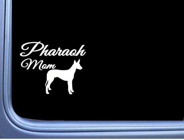 Pharaoh Mom j834 6" wide Sticker decal hound dog